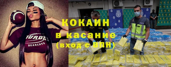 твердый Кулебаки