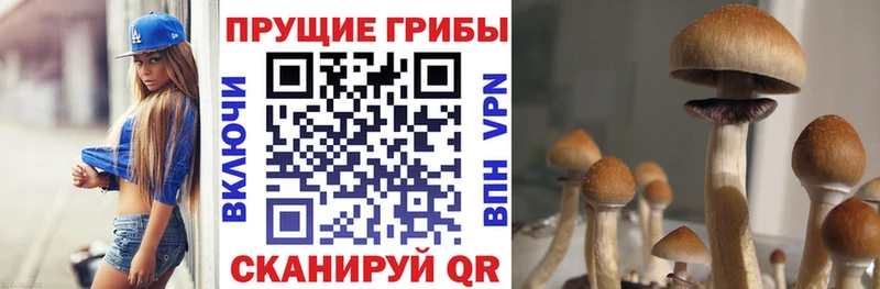hydra ССЫЛКА Рыльск Псилоцибиновые грибы мухоморы